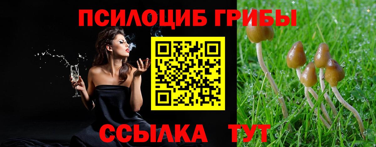 Псилоцибиновые грибы Magic Shrooms  Вход с VPN  Галлюциногенные грибы прущие грибы  Полевской 